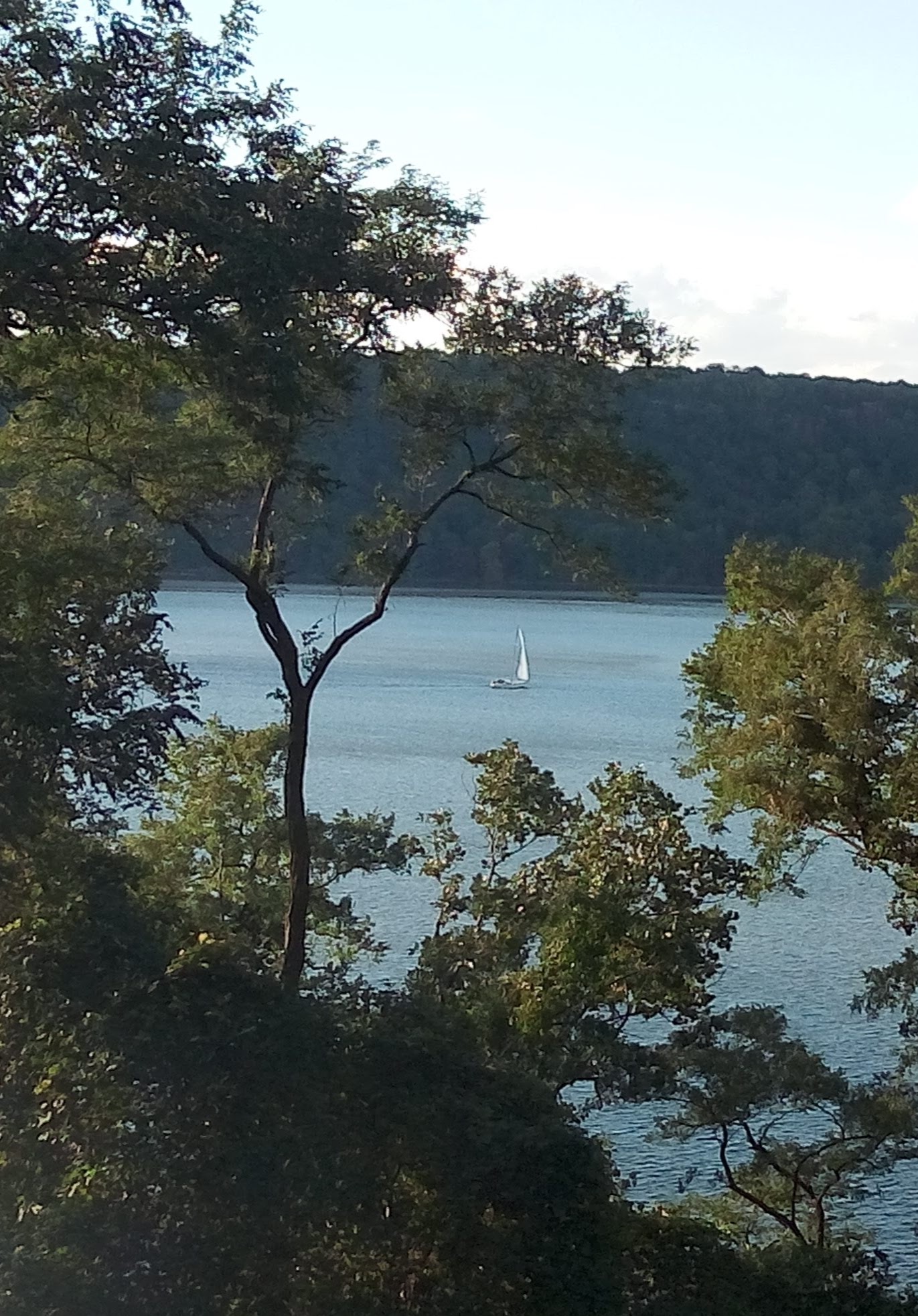 2727 Palisade Avenue, Unit 3H Bronx, NY 10463 - Photo 16 of 18 a view of a lake in middle of forest