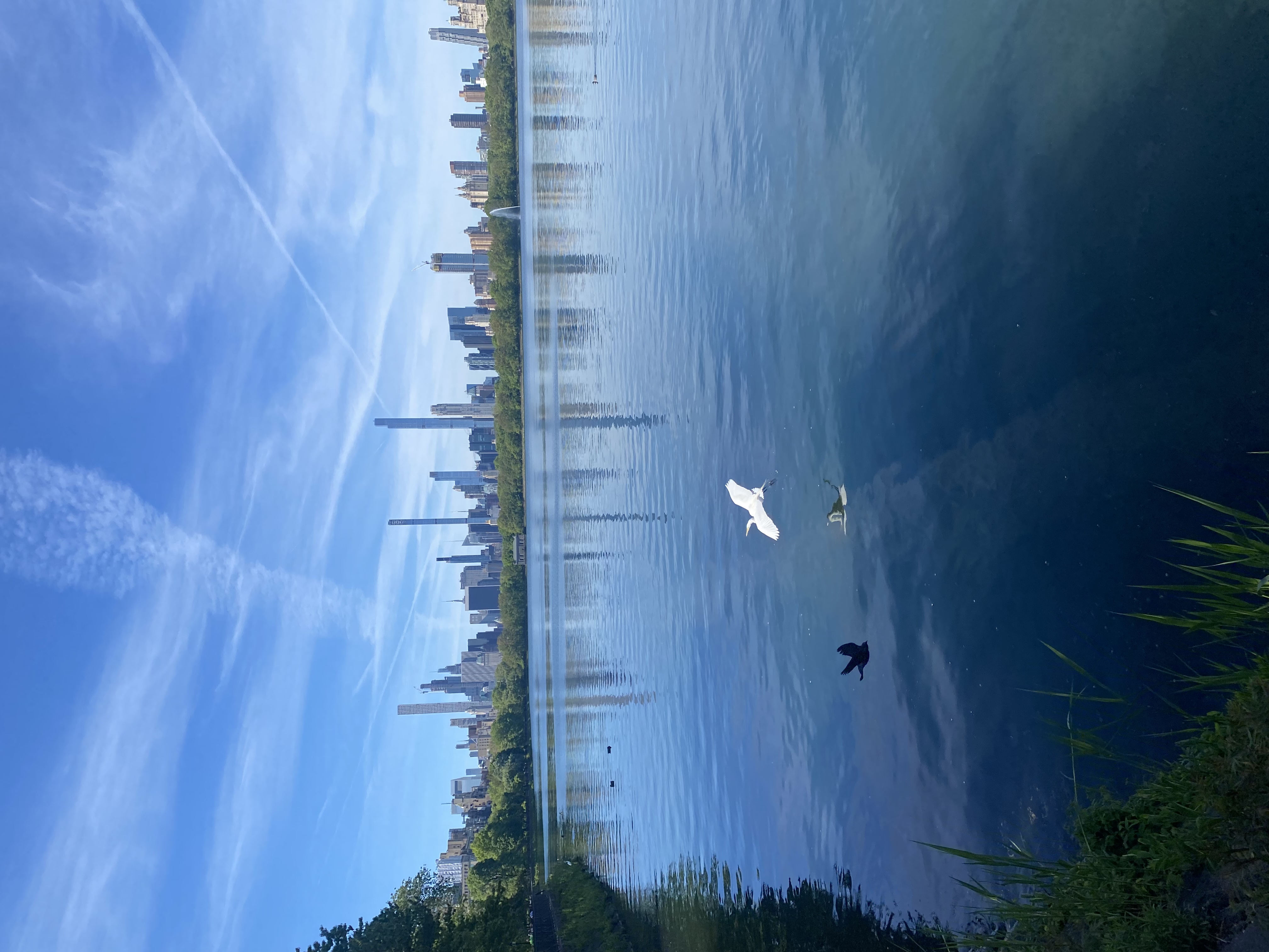 49 East 96th Street, Unit 4D Manhattan, NY 10128 - Photo 17 of 18 a view of a lake