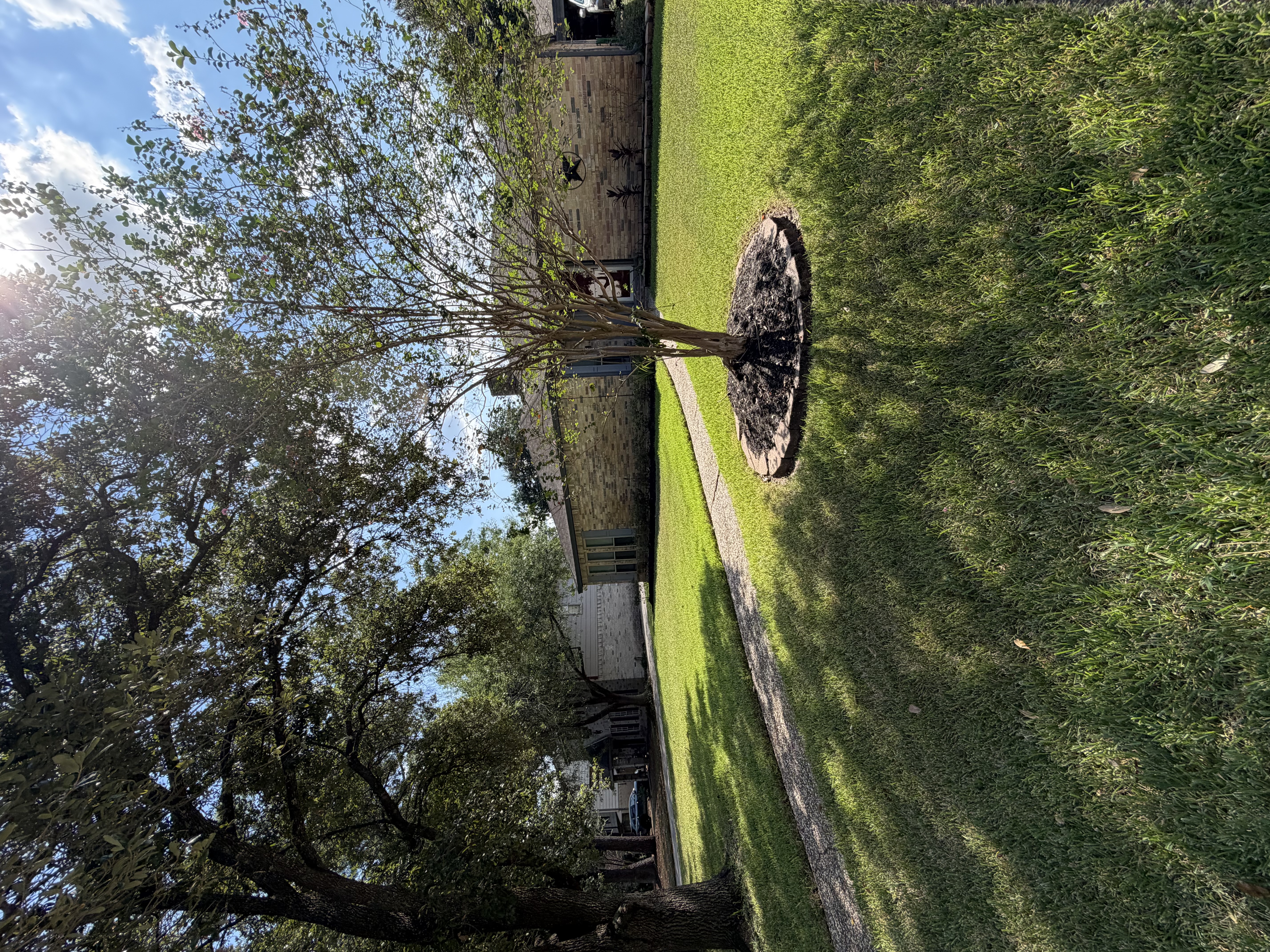 16407 Lobo Lane Spring, TX 77379 - Photo 4 of 4 Gallery Image 4