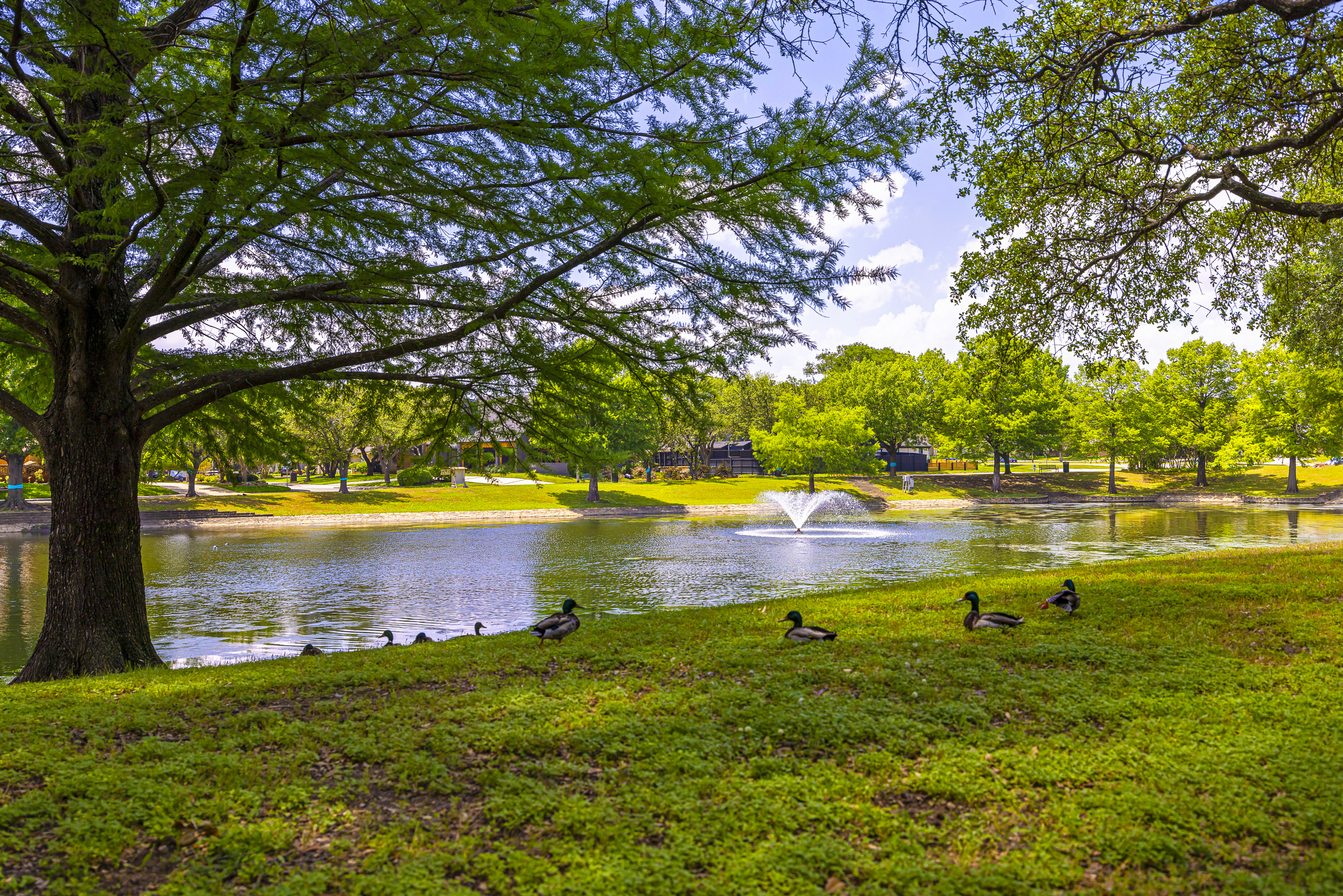 16424 Fallkirk Drive Dallas, TX 75248 - Photo 29 of 36