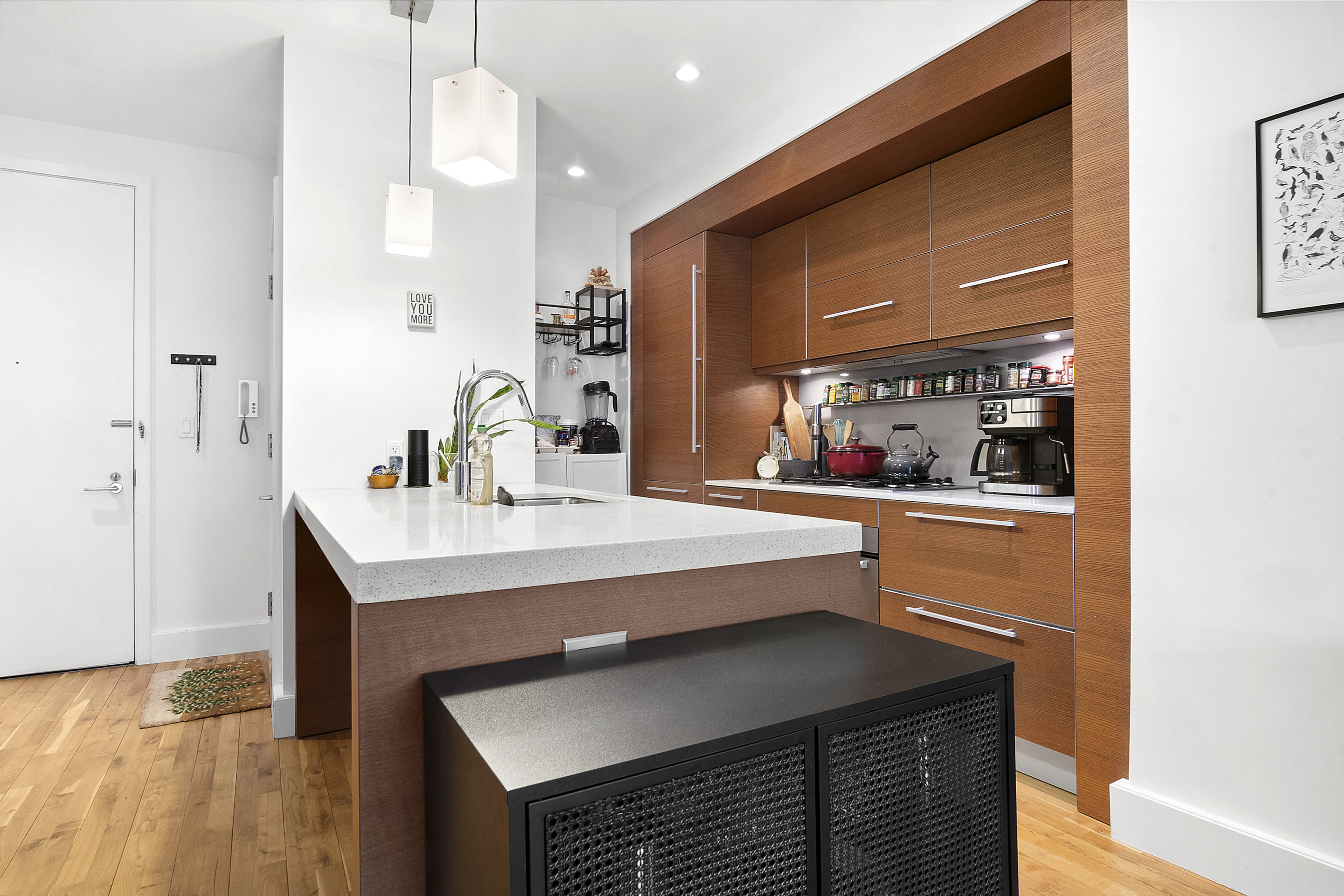 360 Furman Street, Unit 1138 Brooklyn, NY 11201 - Photo 3 of 34 a kitchen with a sink a counter space and cabinets