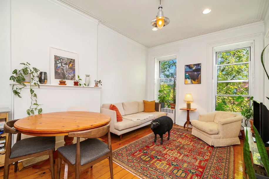 464 Macon Street, Unit 2 Brooklyn, NY 11233 - Photo 2 of 9 a living room with furniture and a potted plant