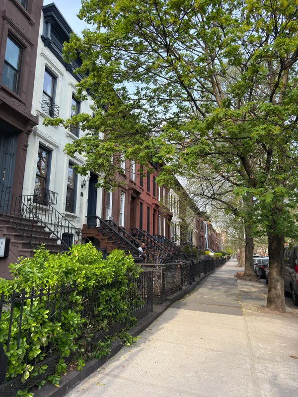 $5,500 | 499 A Madison Street | Bedford-Stuyvesant