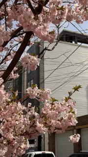 $915,000 | Livingston Street, Philadelphia, PA 19134