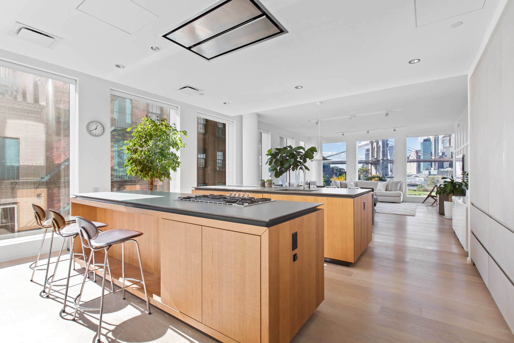 1 John Street, Unit 4A Brooklyn, NY 11201 - Photo 5 of 21