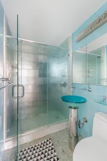 a bathroom with a shower and a toilet