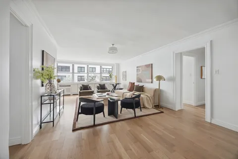 a living room with furniture and a potted plant