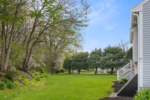 a view of a trees in a yard