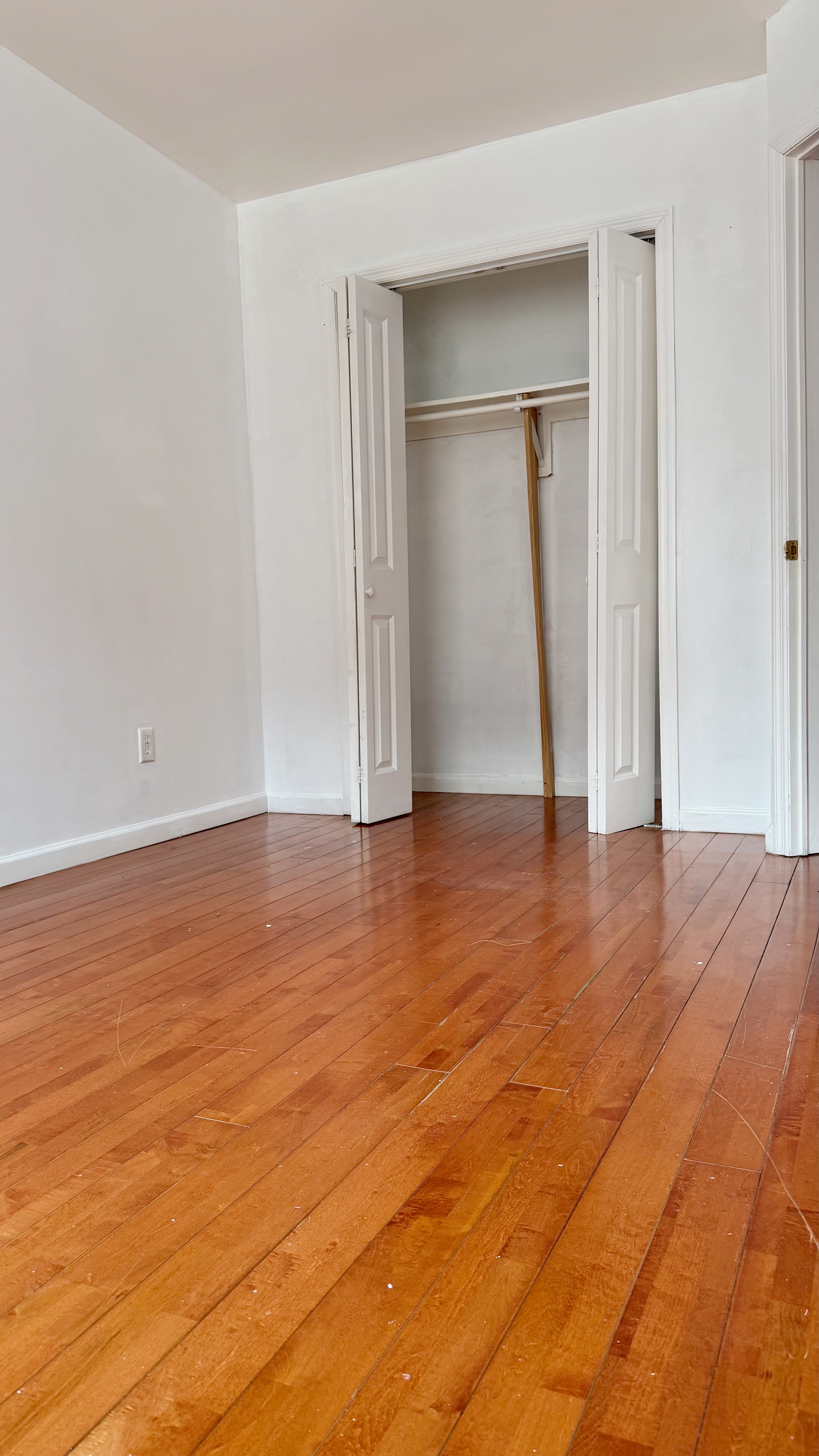 48 Schenck Avenue, Unit 3 Brooklyn, NY 11207 - Photo 6 of 7 an empty room with wooden floor and closet