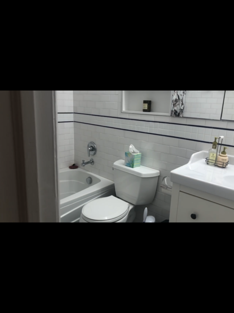 353 West 120th Street, Unit 1 Manhattan, NY 10027 - Photo 8 of 8 a bathroom with a sink toilet a mirror and bathtub