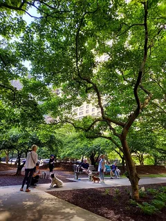 a view of a park with of trees