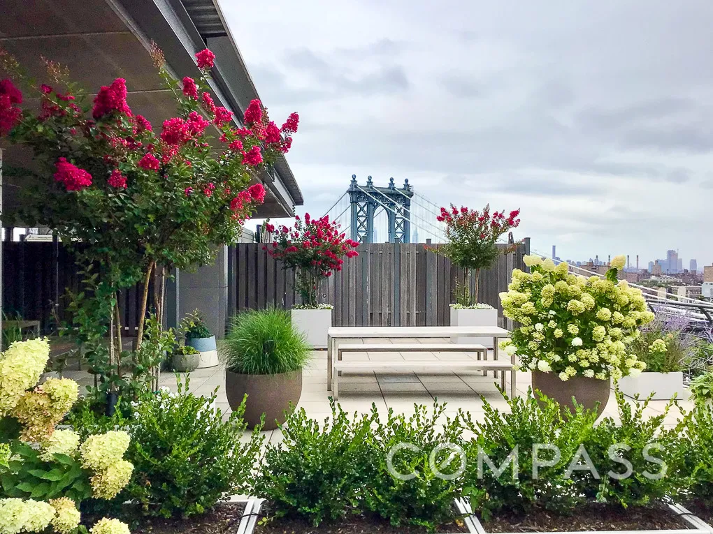 a view of a bunch of flowers