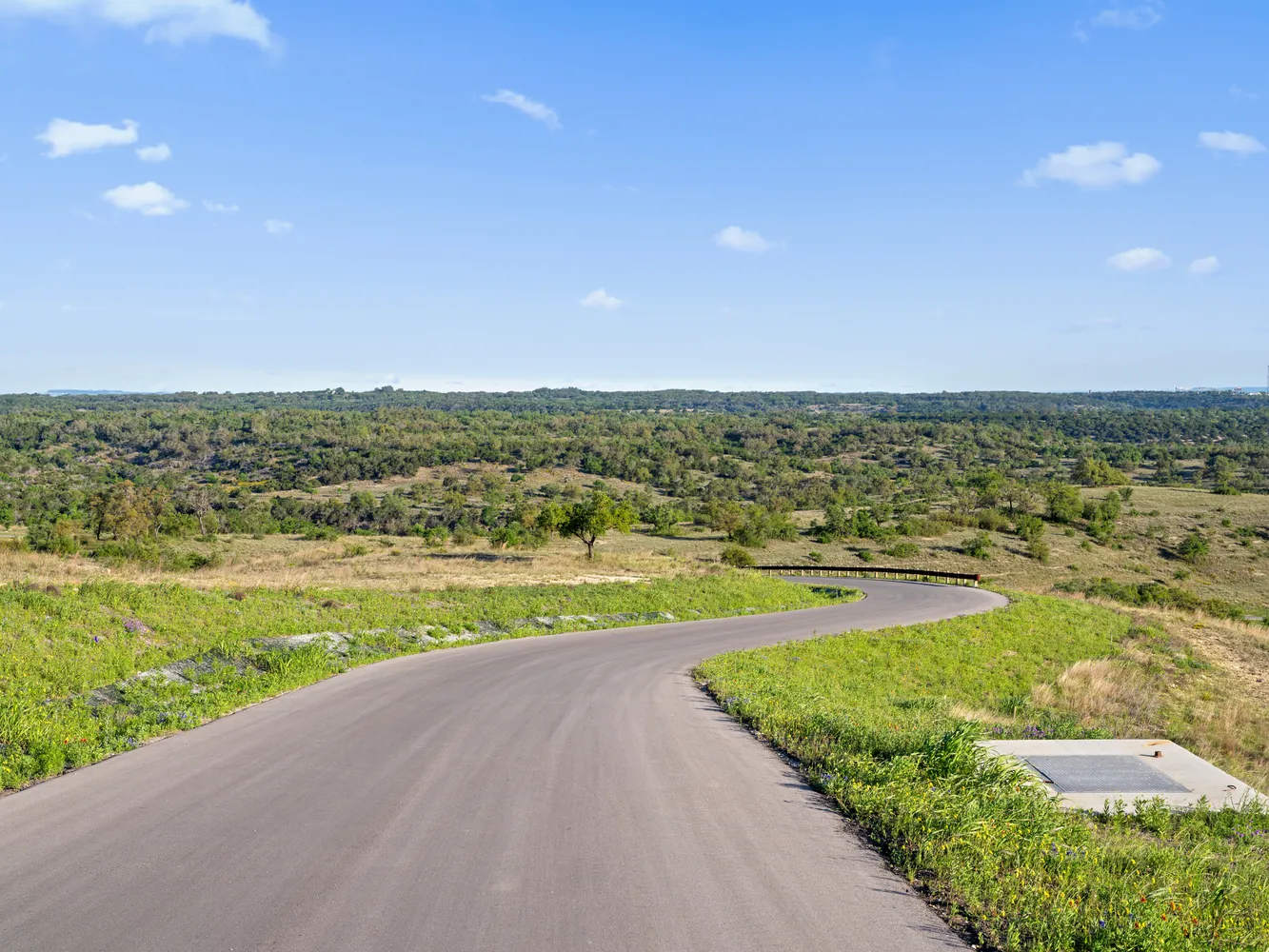 a view of a garden with large trees