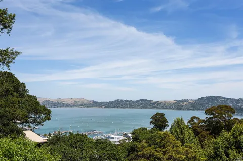Contact Agent | 19 Toyon Lane, Sausalito, CA 94965