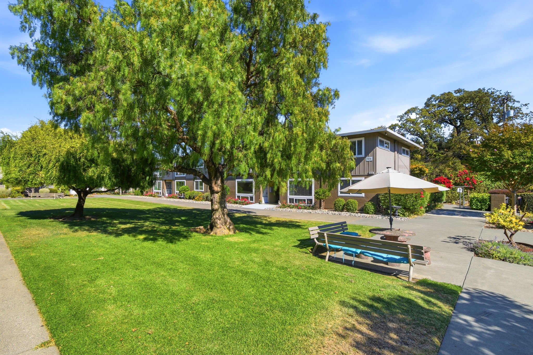 1016 Los Gamos Road, Unit D San Rafael, CA 94903 - Photo 3 of 28 Gallery Image 3