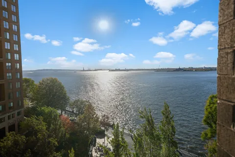 a view of a lake from a yard