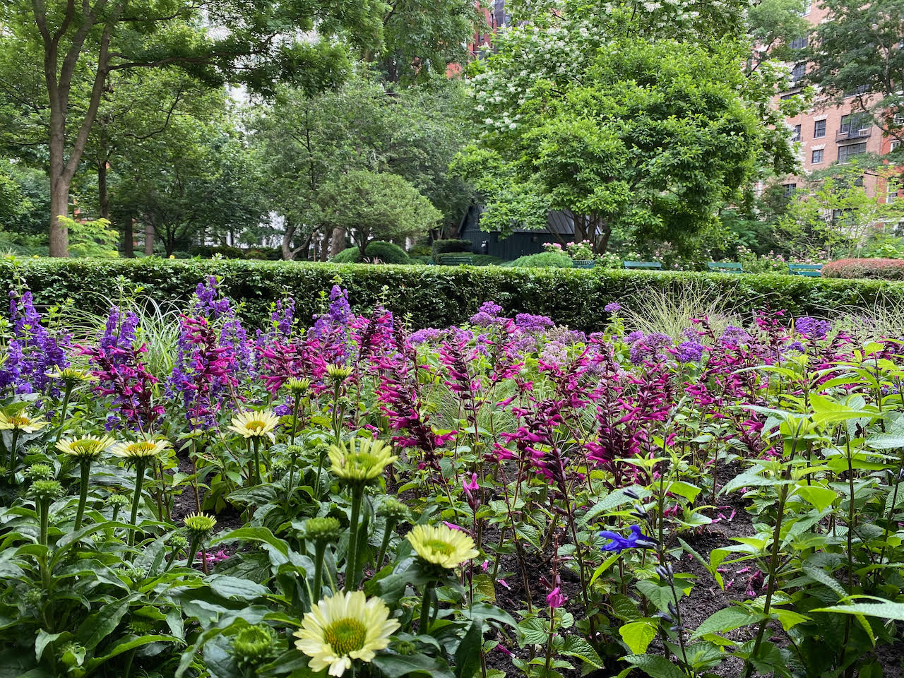 7 Gramercy Park West, Unit 6AB Manhattan, NY 10003 - Photo 11 of 12 a view of a flower in a garden
