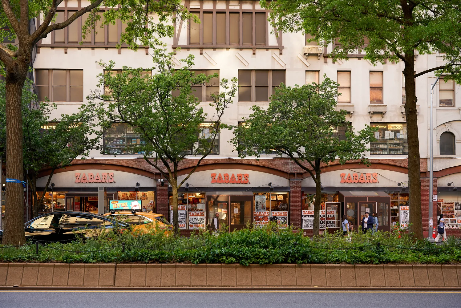 a view of a park with bench and trees