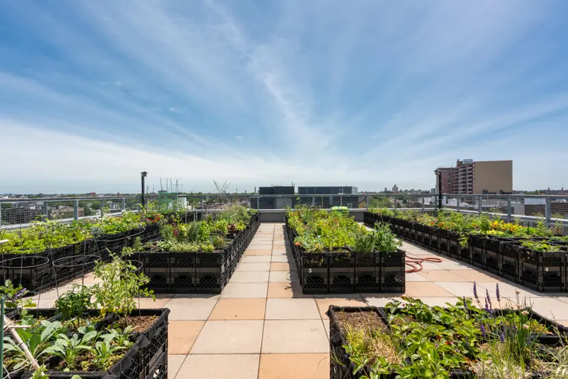 22 Caton Place, Unit 6DD Brooklyn, NY 11218 - Photo 15 of 16 a view of a terrace with chairs and potted plants