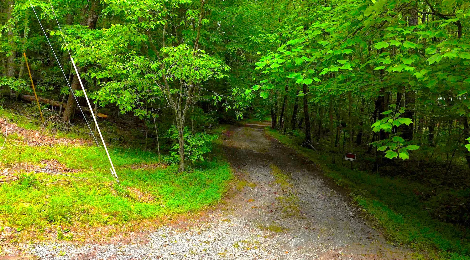 $55,000 | Nocona Trail, Ellijay, GA 30536