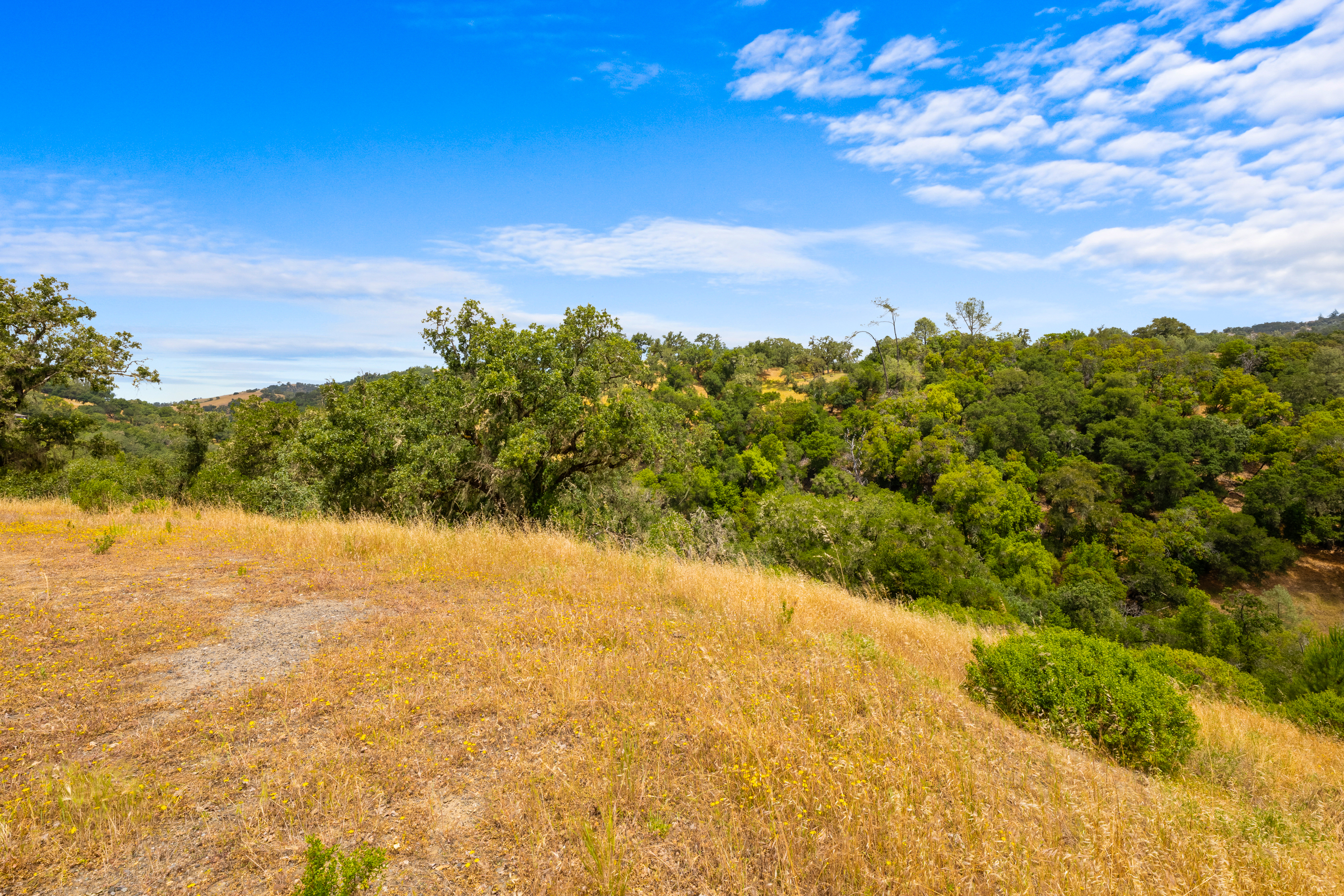 23655 Vineyard Road Geyserville, CA 95441 - Photo 20 of 25