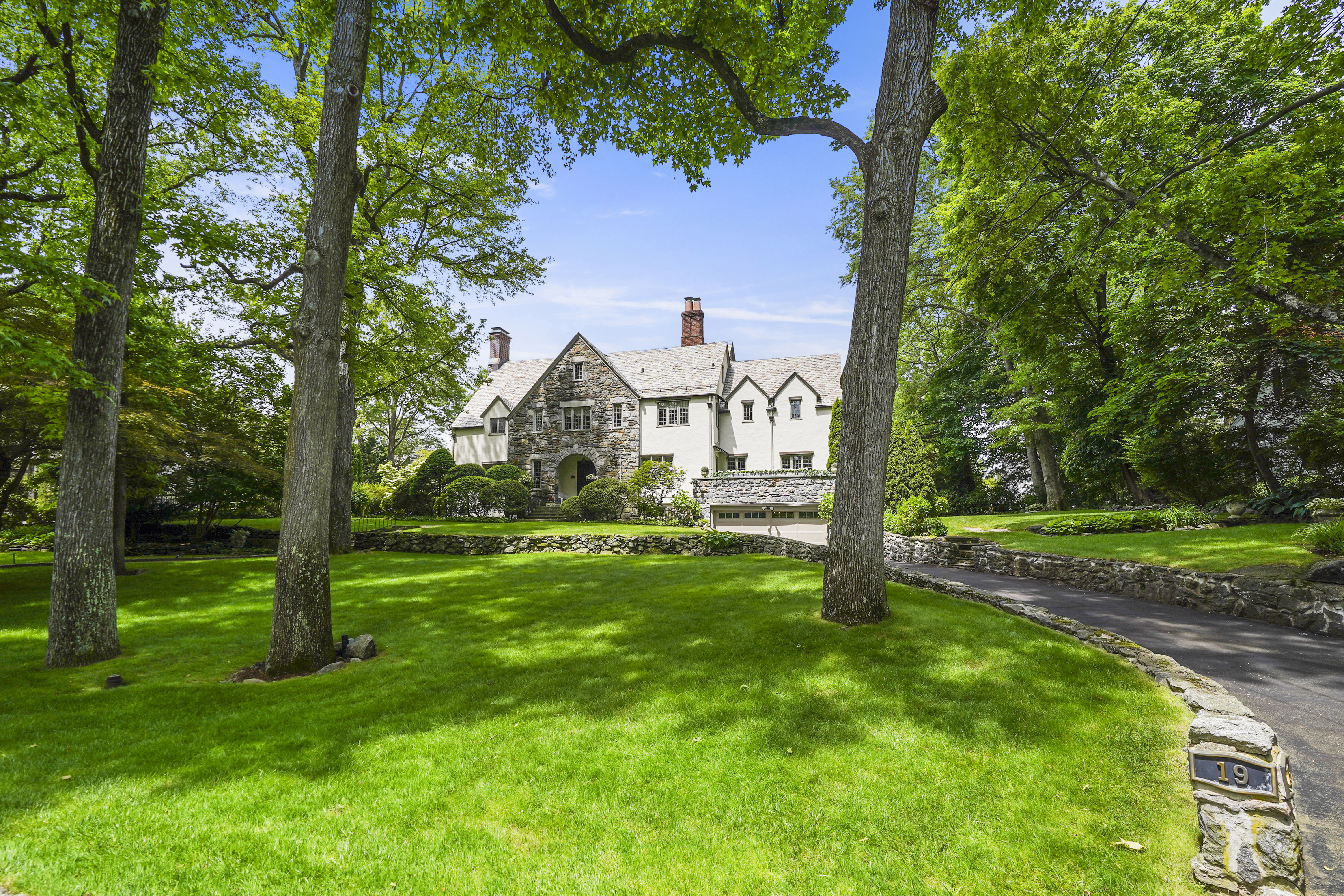 a view of a park with large trees