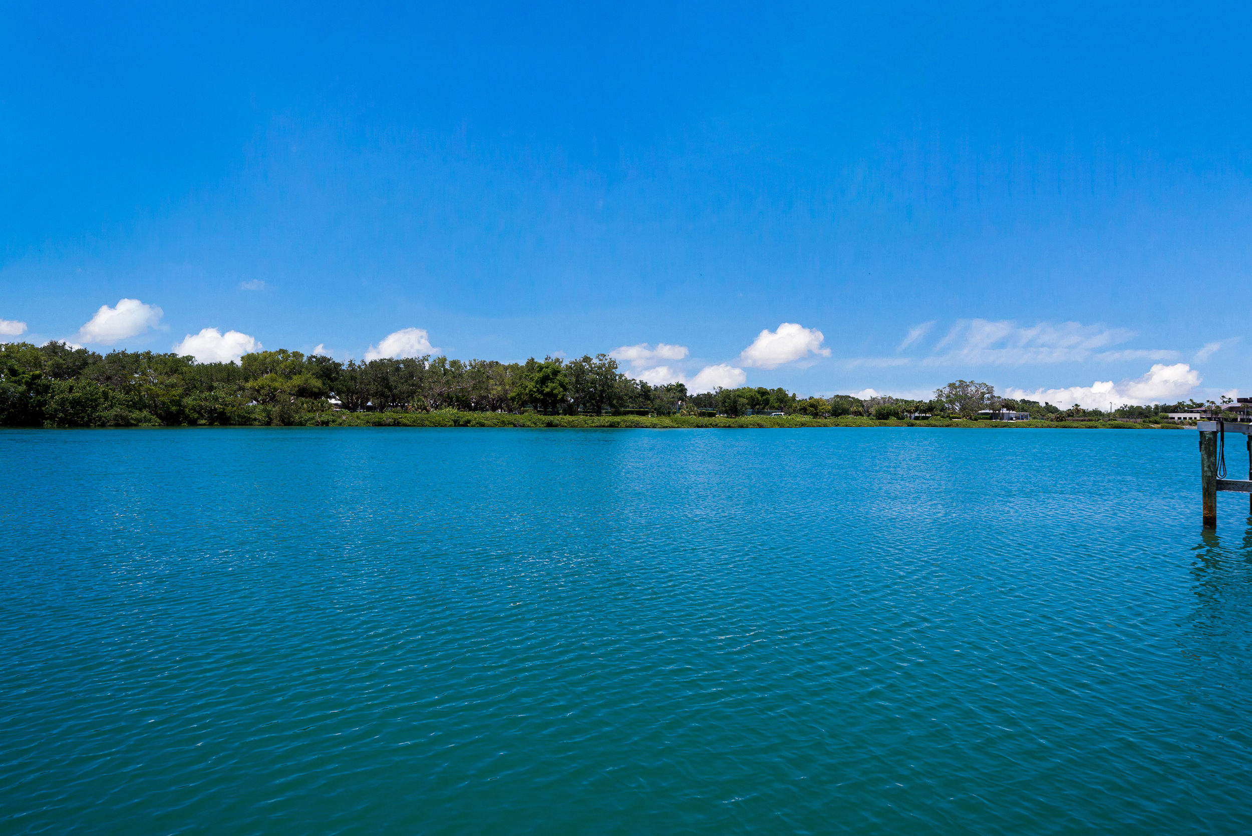 65 Lighthouse Point Drive Longboat Key, FL 34228 - Photo 48 of 57