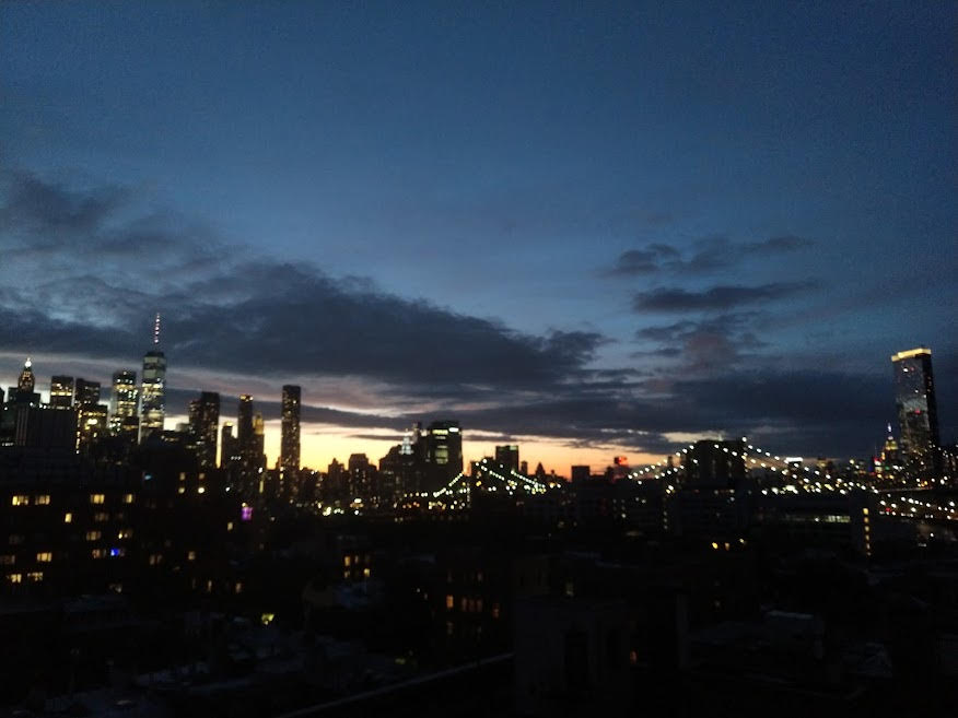 45 Pineapple Street, Unit PH2 Brooklyn, NY 11201 - Photo 8 of 10