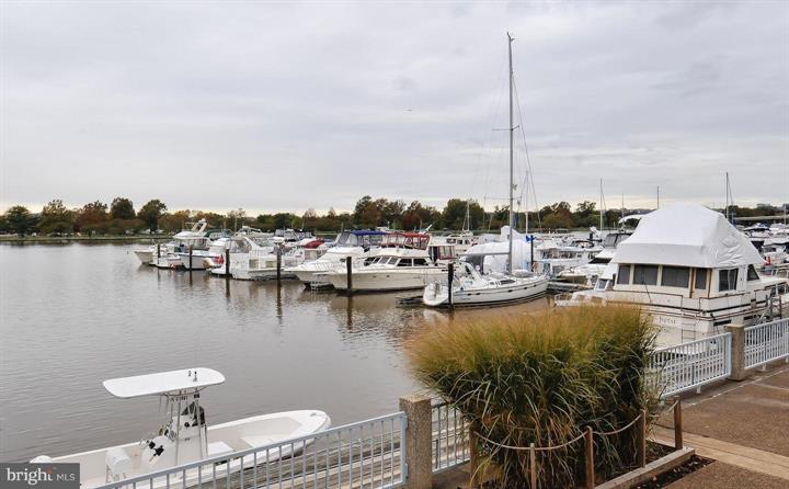 1101 3rd Street Southwest, Unit 206 Washington, DC 20024 - Photo 13 of 21 a view of a lake with chairs