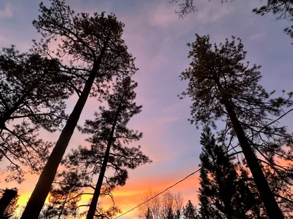 $415,000 | Address Upon Request, Mountain Center, CA 92561