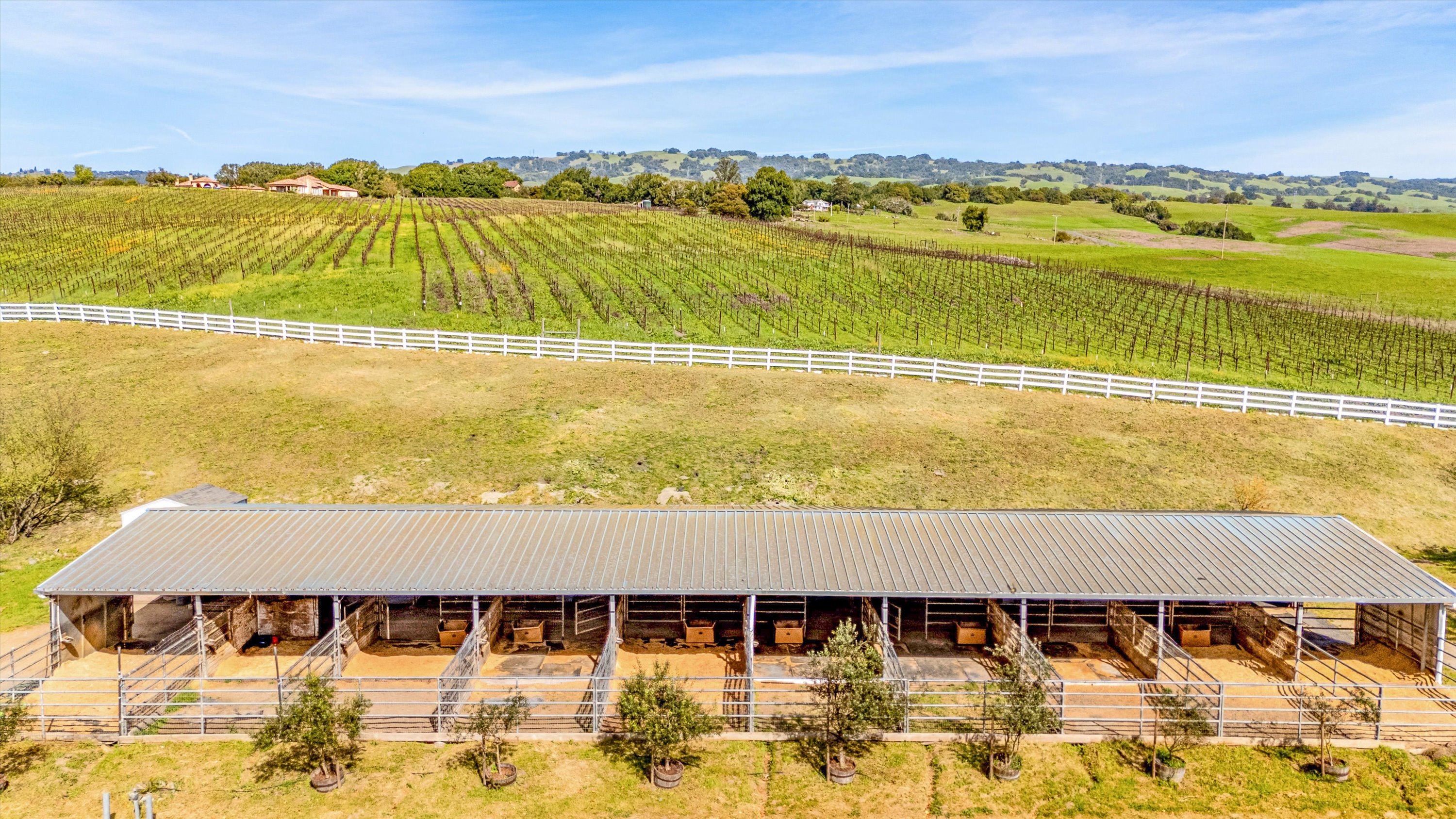 2420 Mountain Ranch Road Petaluma, CA 94954 - Photo 13 of 19