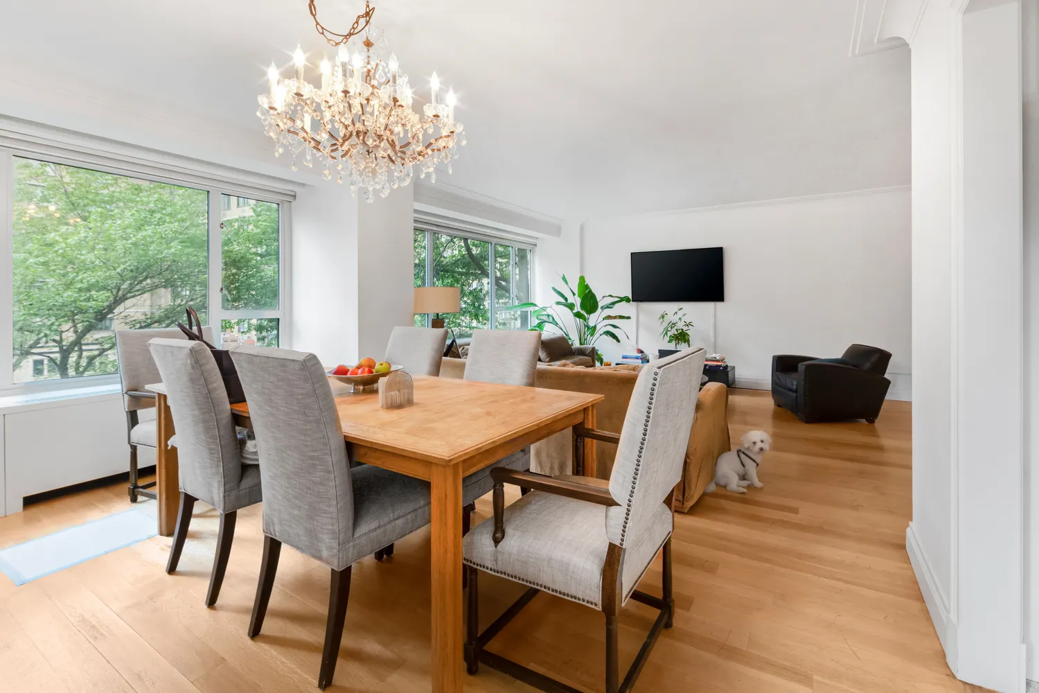 a view of a dining room with furniture a chandelier and wooden floor