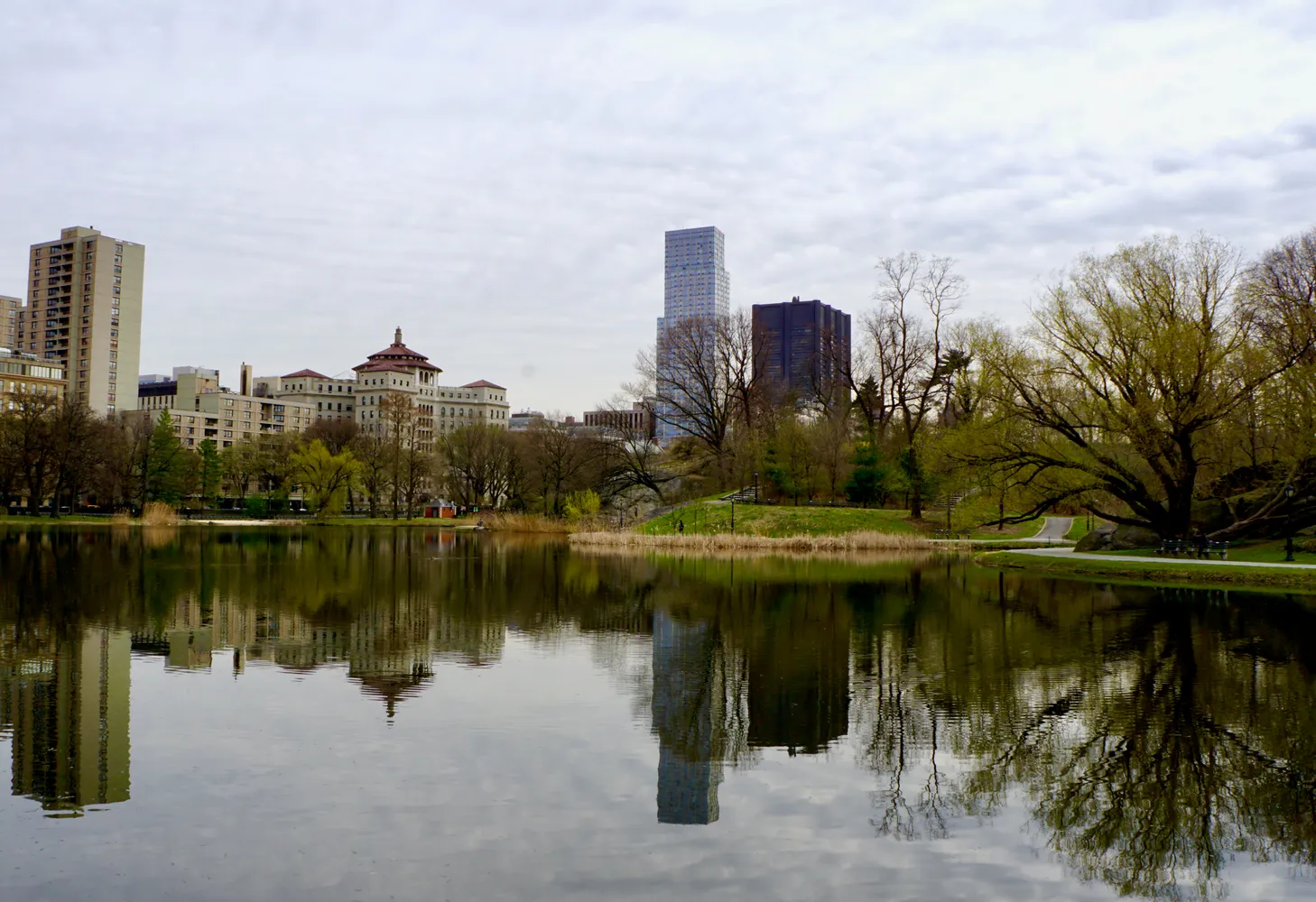 a view of a lake with a yard and a large window