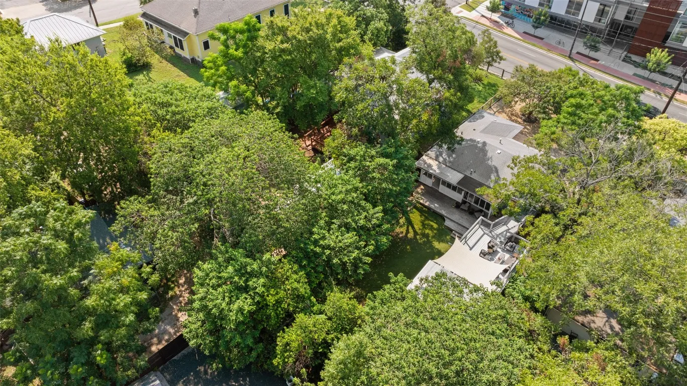a close up of a plant in a garden