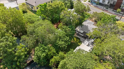 a close up of a plant in a garden