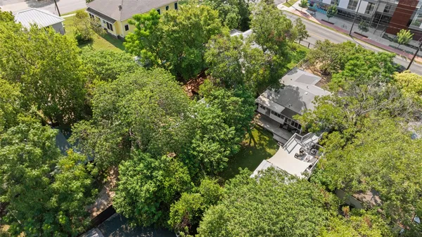 a close up of a plant in a garden