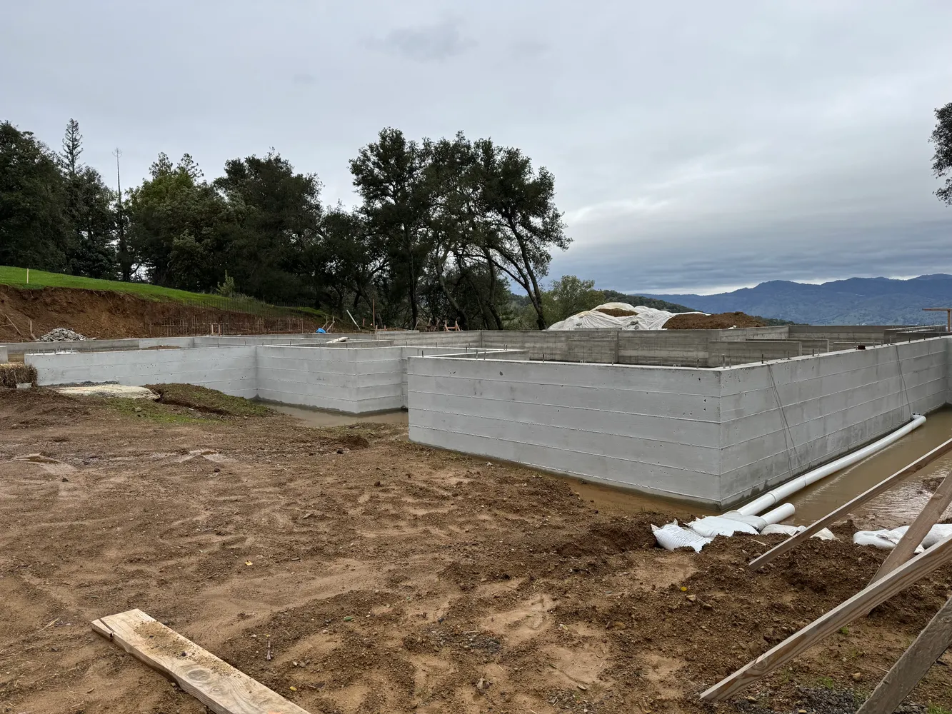 a view of a dry yard