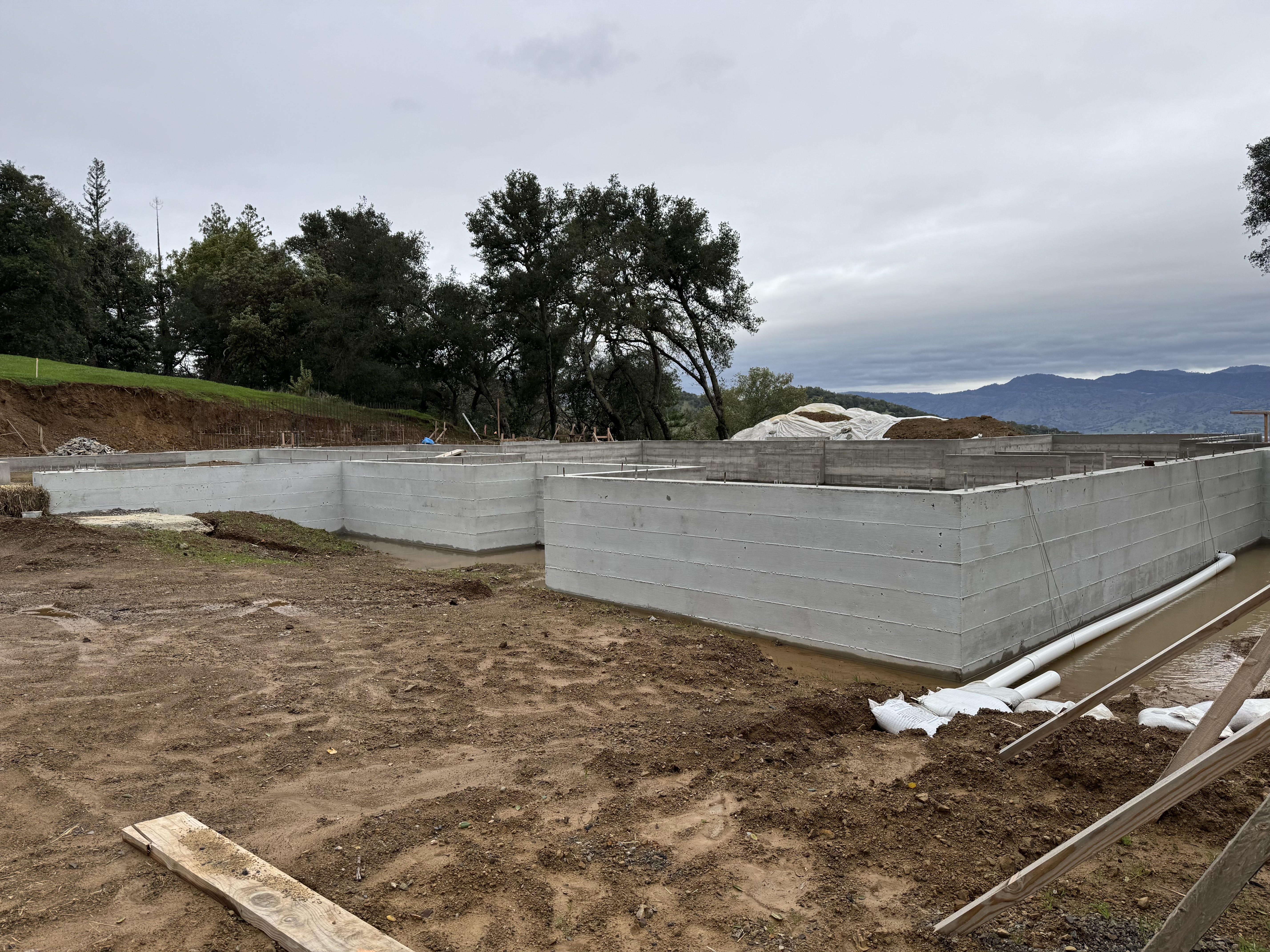 4129 Dry Creek Road Napa, CA 94558 - Photo 2 of 8 a view of a dry yard