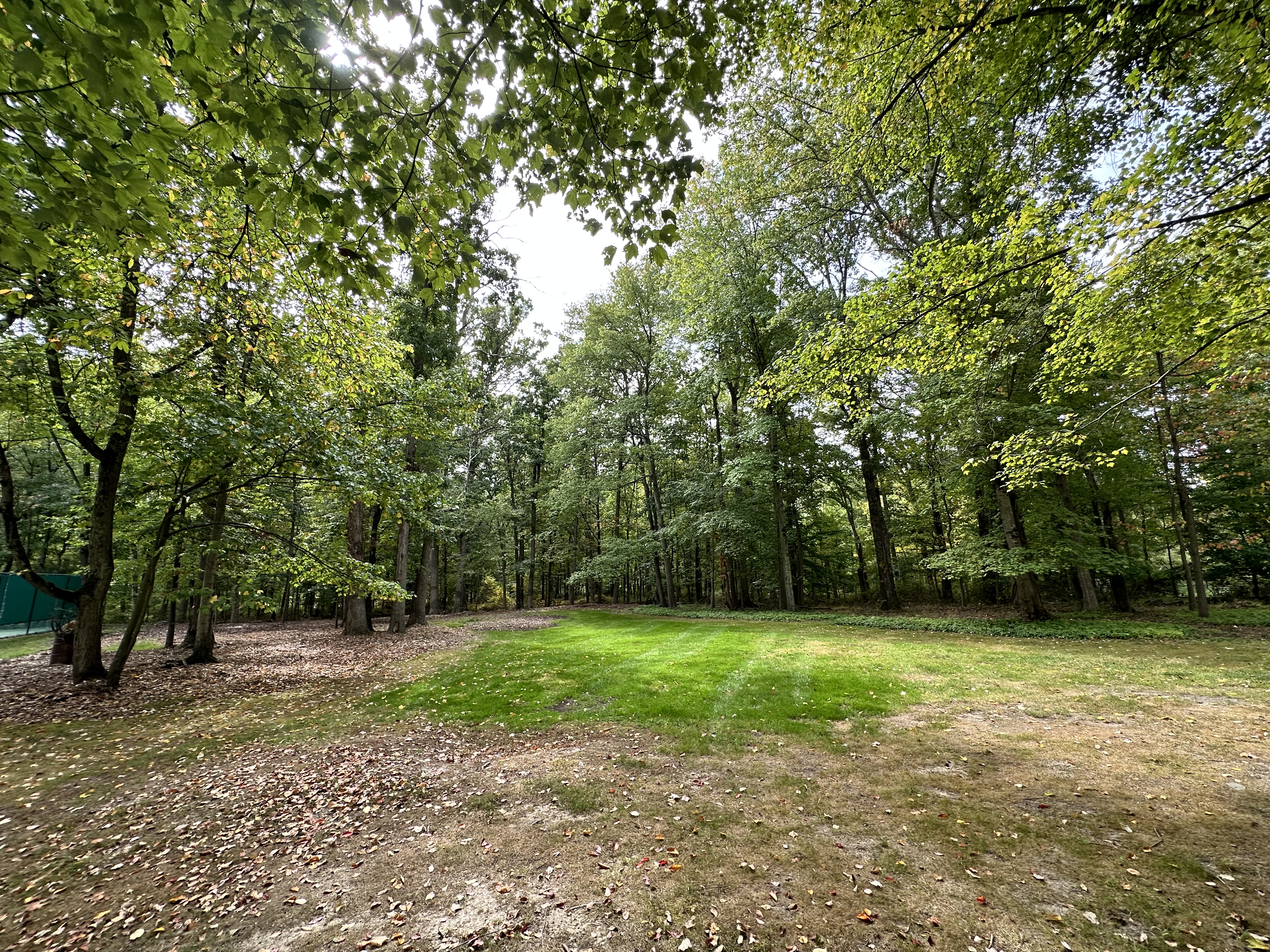 21 Andrews Road Malvern, PA 19355 - Photo 13 of 20 a view of a trees in a park