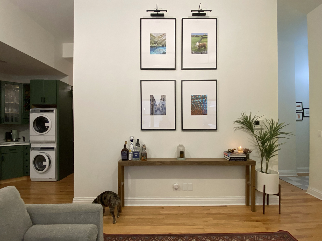 60 Court Street, Unit 2L Brooklyn, NY 11201 - Photo 3 of 9 a living room with furniture and a potted plant