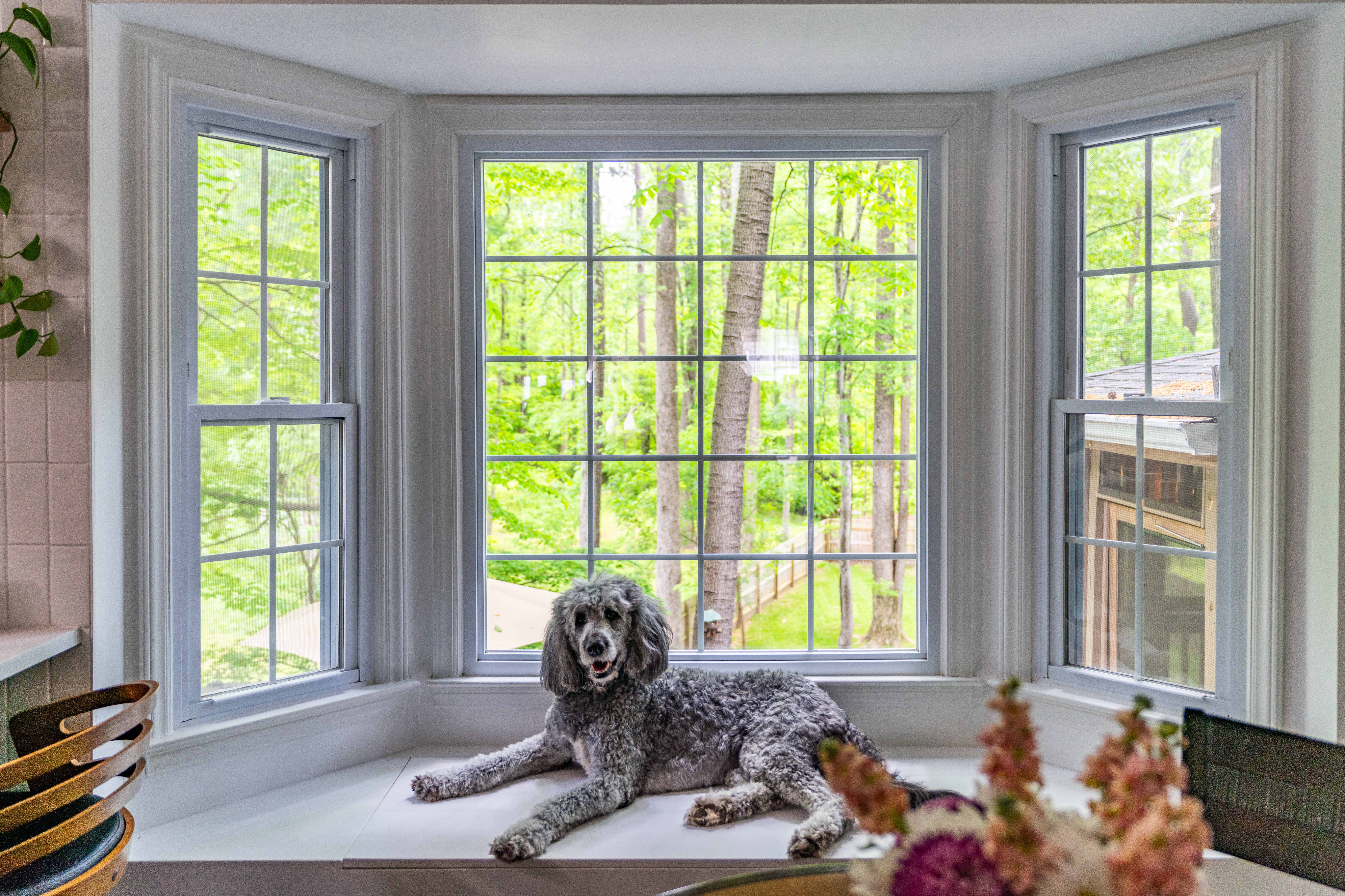 1109 Theresa Court Raleigh, NC 27615 - Photo 9 of 39