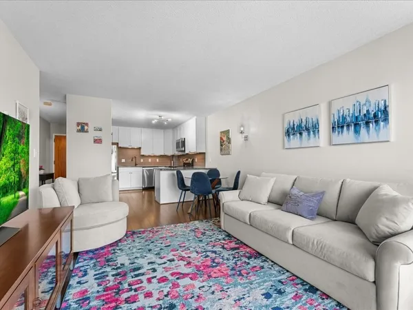 a living room with furniture and a rug