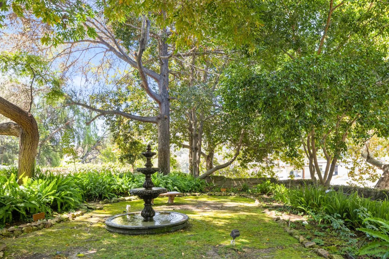 a view of a garden with a tree