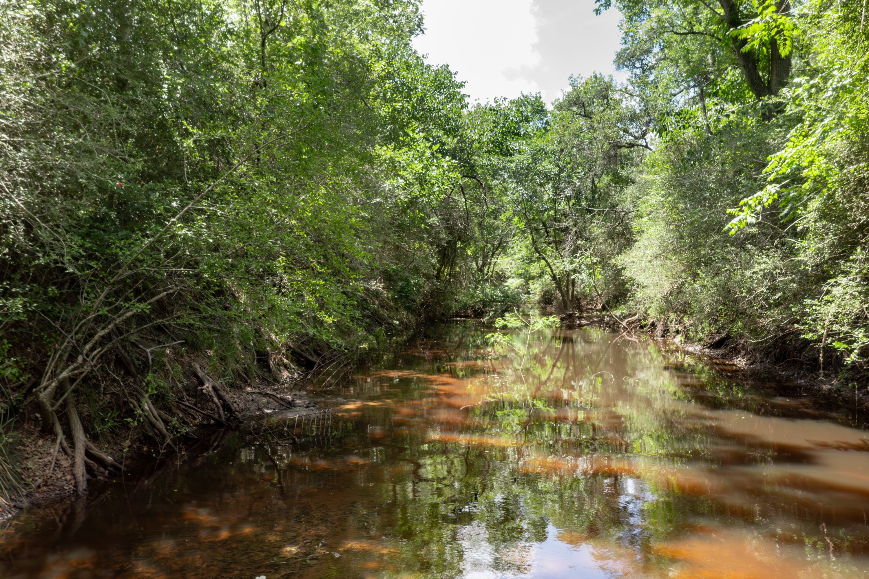 54.68 Cattle Guard Road Cuero, TX 77954 - Photo 67 of 67 a view of a yard