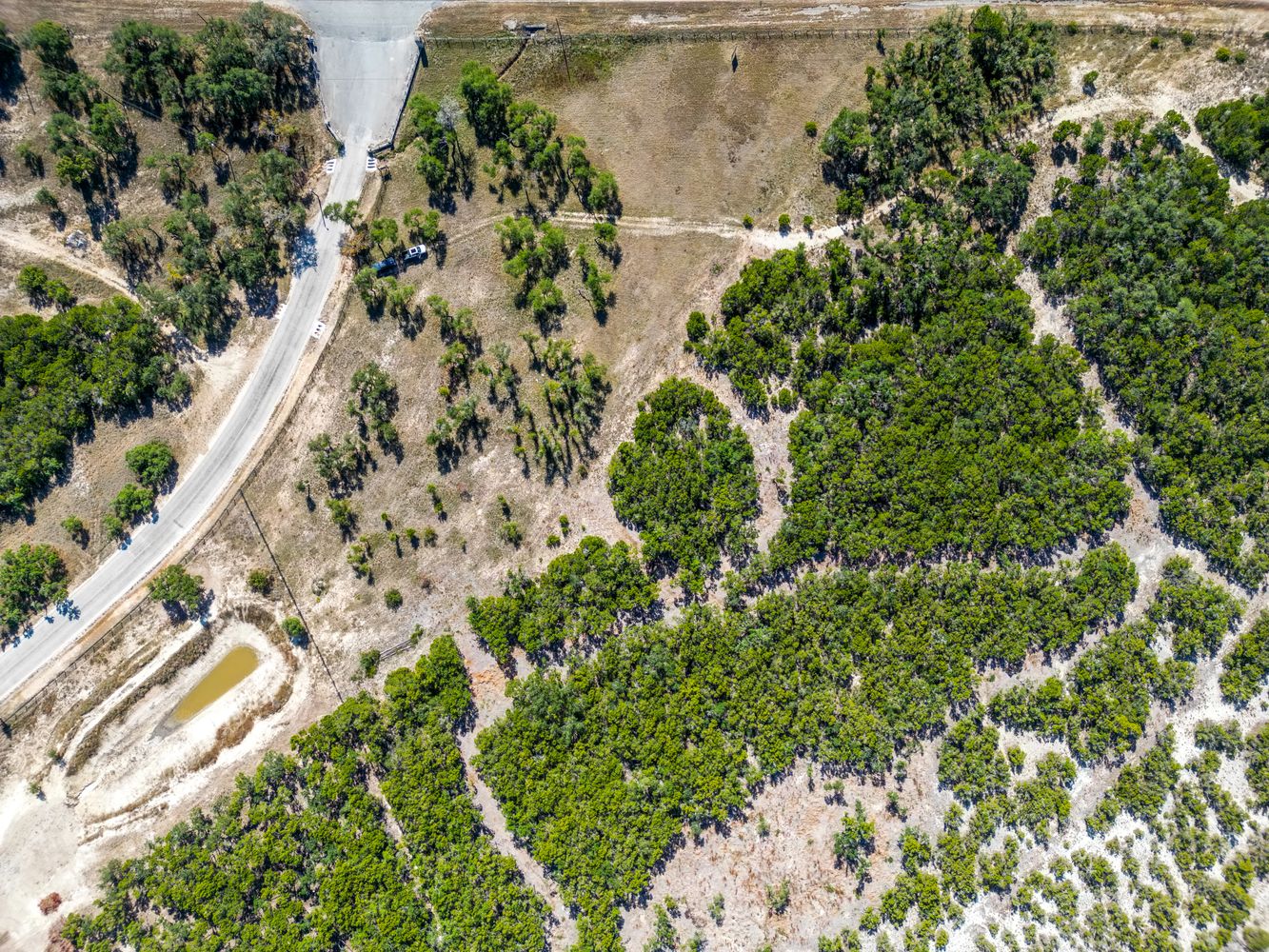 a view of outdoor space with trees