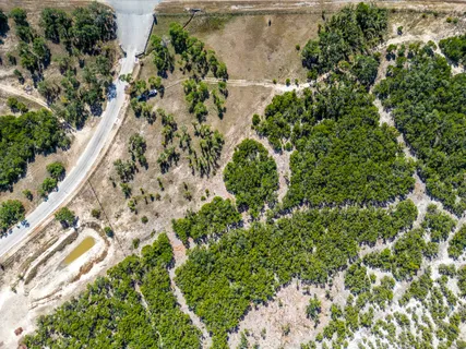a view of outdoor space with trees
