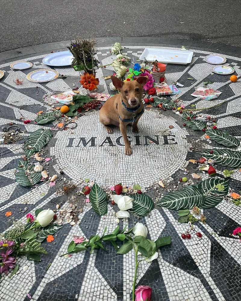 $499,000 | 140 West 69th Street, Unit 36A | Upper West Side