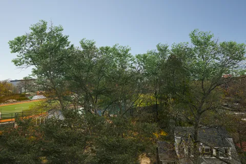 a view of a field of grass and trees