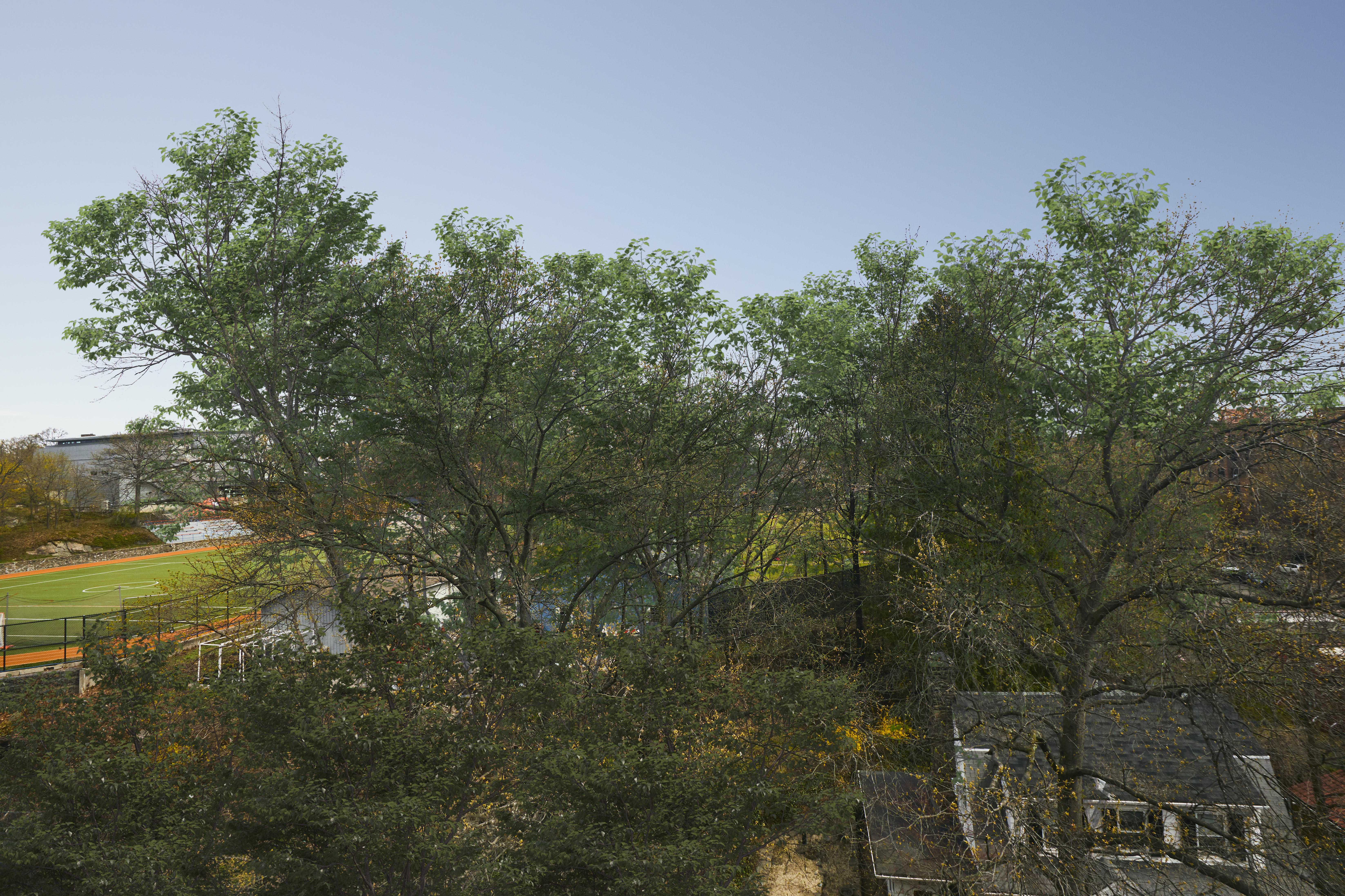 474 West 238th Street, Unit 6G Bronx, NY 10463 - Photo 12 of 20