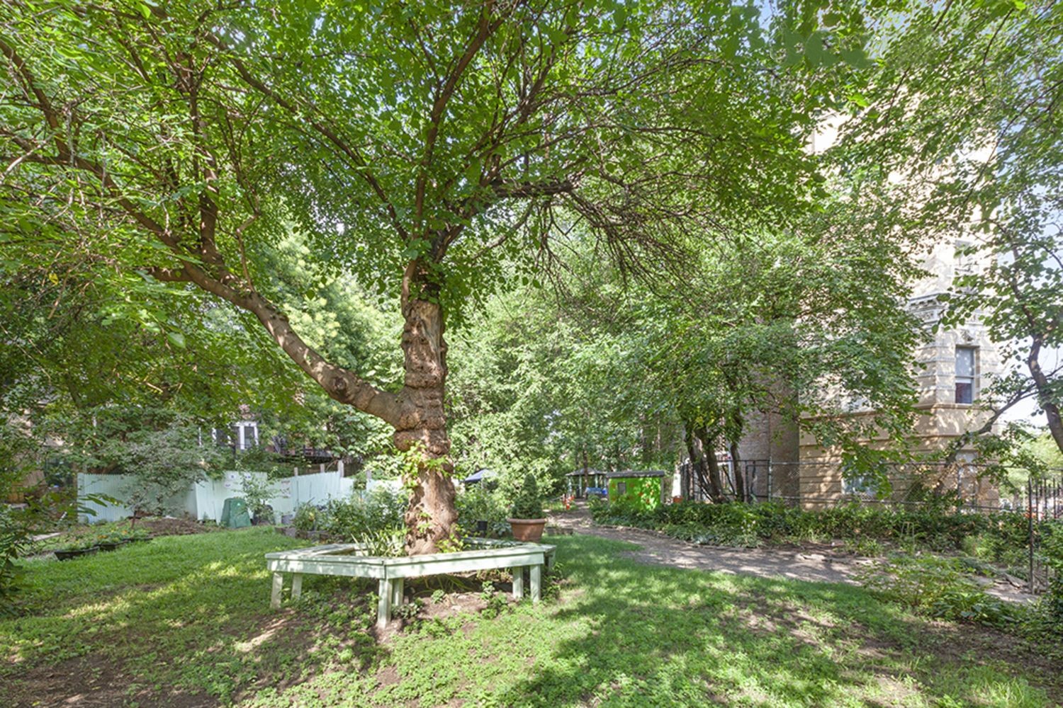 479 West 152nd Street, Unit 4C Manhattan, NY 10031 - Photo 18 of 23 a view of backyard with trees